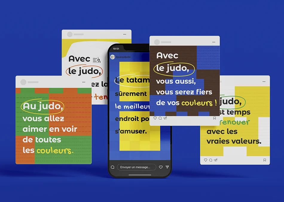 Campagne Ligue sud judo